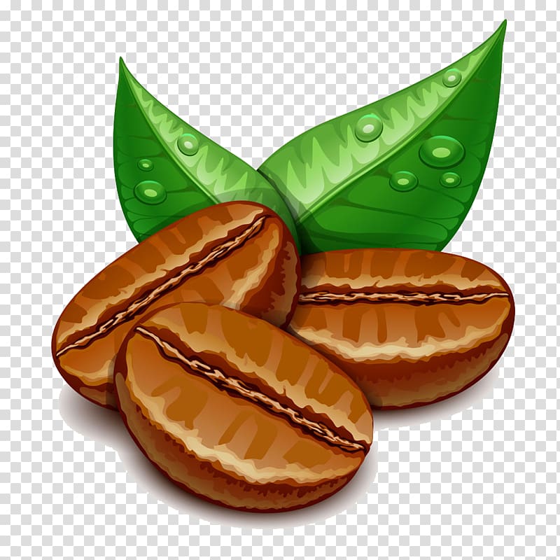 Single-serve coffee container Cappuccino Cream Crumble, Coffee beans and green leaves with drops of water transparent background PNG clipart