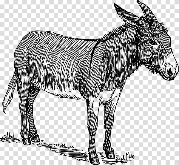 Drawing Donkey Sketch, exhausted cyclist transparent background PNG clipart