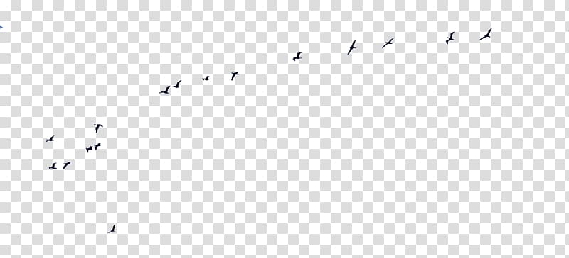 Bird migration Point Angle Font, Bird transparent background PNG clipart