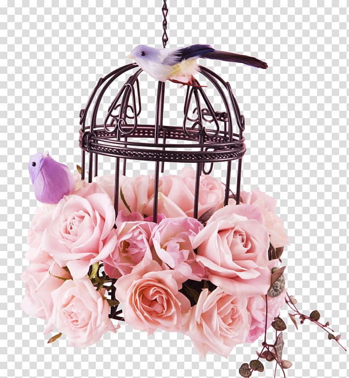 Birdcage Flower Rose, Valentines Day flowers decoration transparent background PNG clipart
