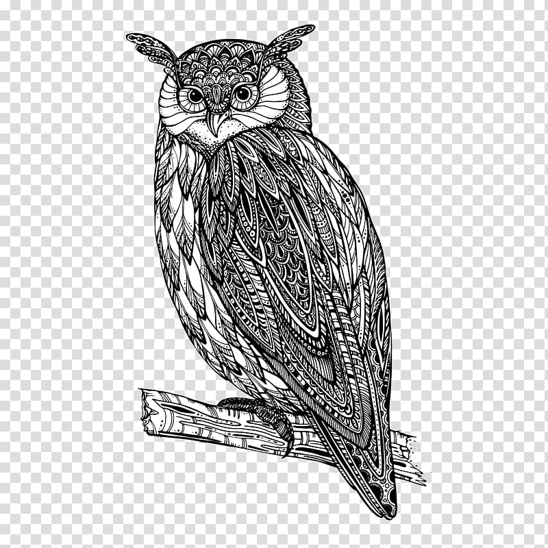 Owl , owl transparent background PNG clipart