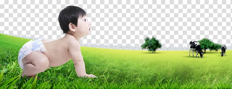 Lawn Human behavior Toddler Nature , Crawling baby transparent background PNG clipart