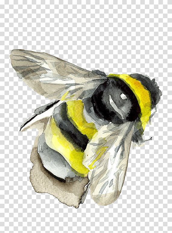 yellow and black bee painting, Bumblebee Insect Watercolor painting, Watercolor bee transparent background PNG clipart