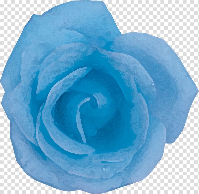 Blue rose Centifolia roses Garden roses Petal, flower transparent background PNG clipart