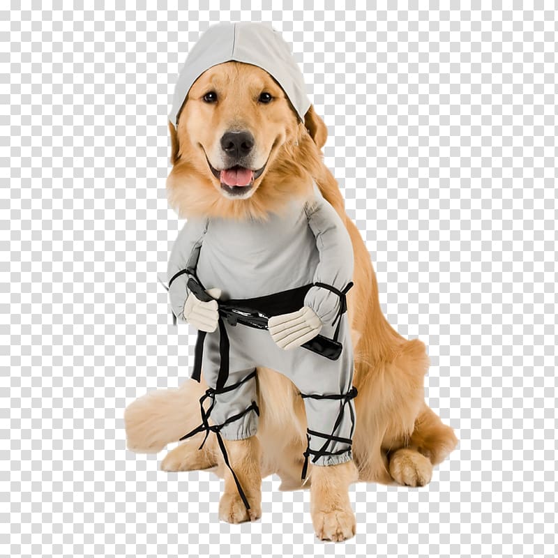Pembroke Welsh Corgi Costume Pet Ninja Dog, Cute puppy transparent background PNG clipart