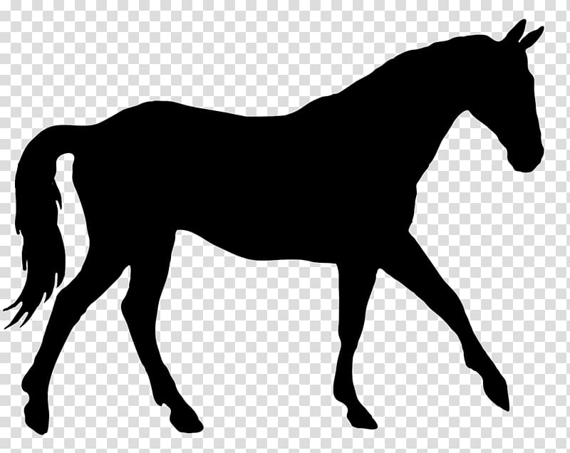 American Quarter Horse Horse & Hound Dressage Silhouette , horseshoe transparent background PNG clipart