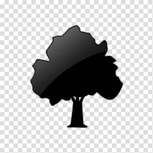 Shade tree Computer Icons Oak , Deciduous Tree (Trees) Icon #051466 » Icons Etc transparent background PNG clipart