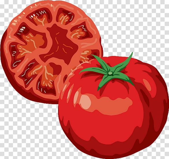 Plum tomato Pizza Vegetable Italian cuisine, tomato cake transparent background PNG clipart
