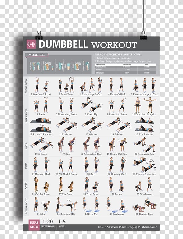 Dumbbell Exercise Strength training Weight training Physical fitness, Male Lifting Dumbbells transparent background PNG clipart