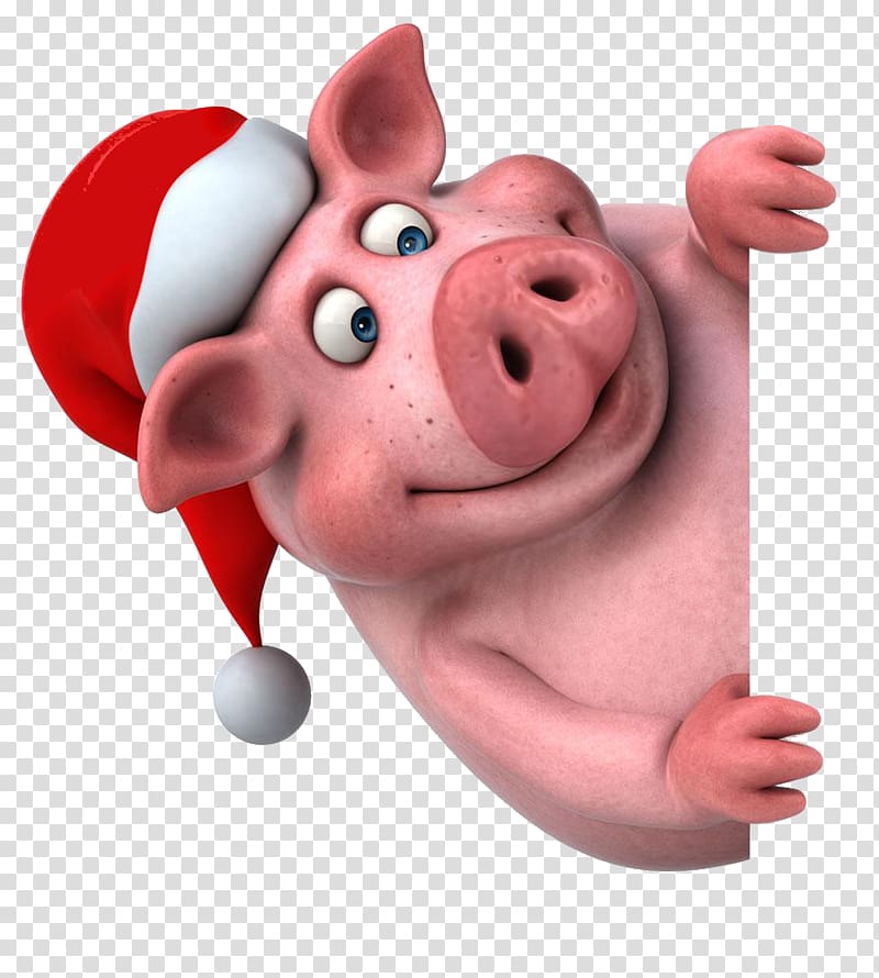 Domestic pig Cartoon Illustration, Cartoon hat transparent background PNG clipart