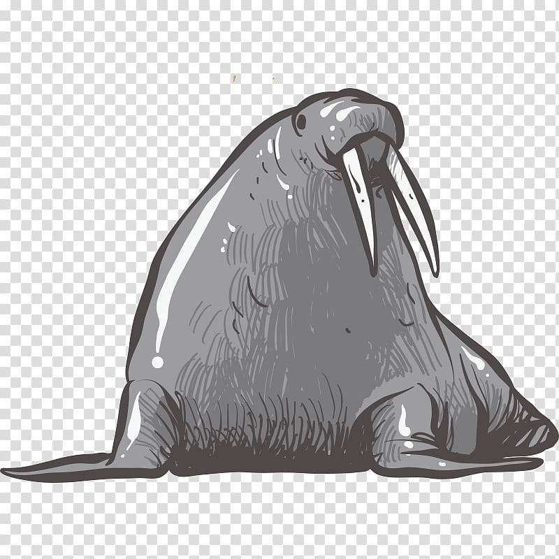 Earless seal Walrus Reindeer Drawing, walrus transparent background PNG clipart
