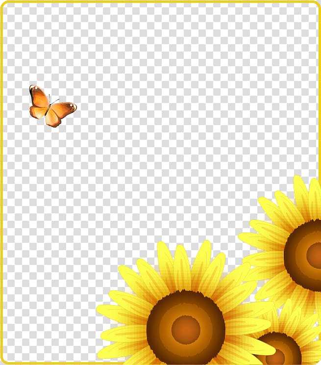 Common sunflower, Korean fashion butterfly pattern decoration Sunflowers transparent background PNG clipart