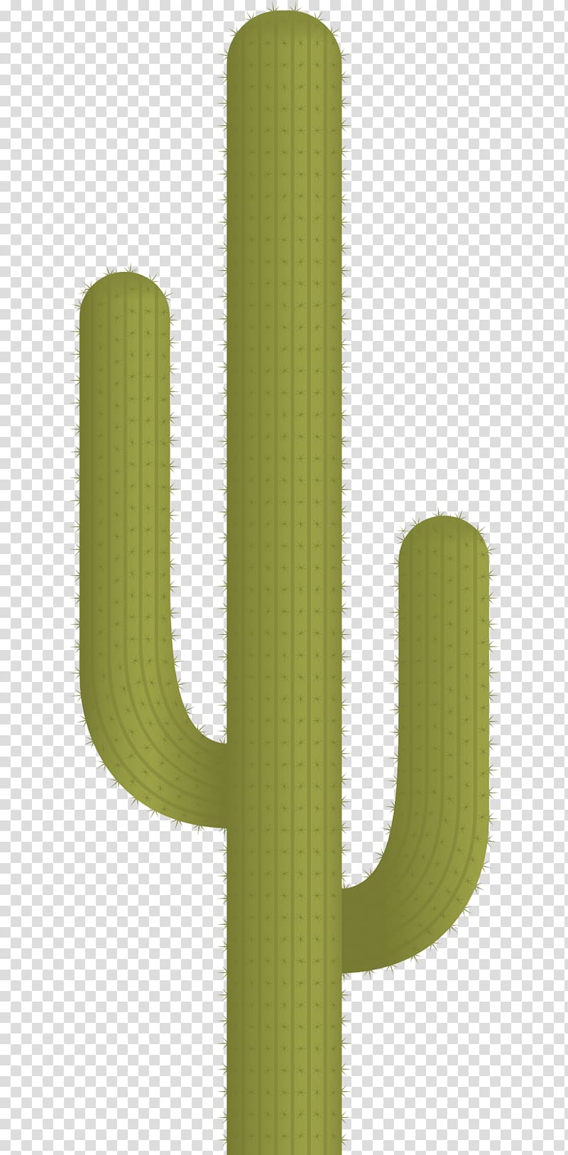 Green Cactaceae Pattern, Cactus Plant transparent background PNG clipart