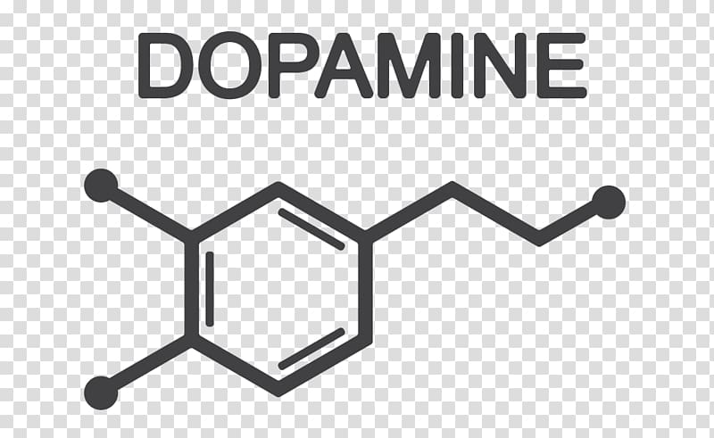 Dopamine Euclidean Neurotransmitter graphics Serotonin, divergent effect transparent background PNG clipart