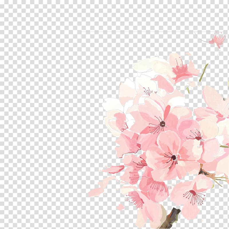 pink petaled flower , Cherry blossom, Ink hand-painted cherry trees buckle free material transparent background PNG clipart