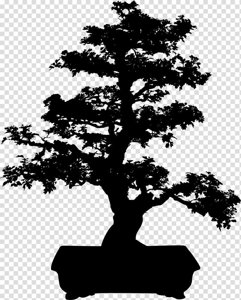 Bonsai Tree Silhouette , tree transparent background PNG clipart