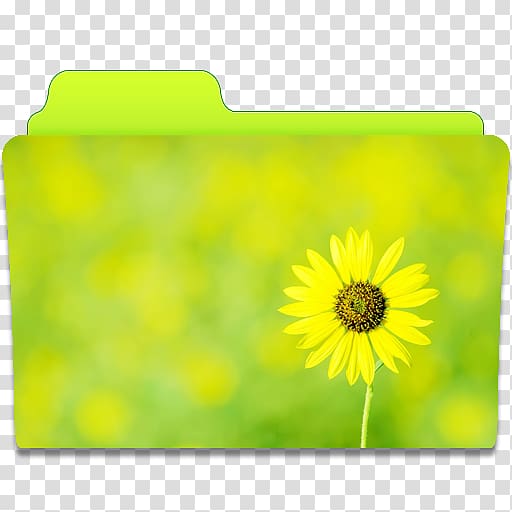 sunflower-printed folder illustration, sunflower meadow petal yellow, Folder Sunflower transparent background PNG clipart
