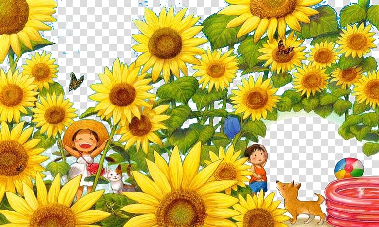 Common sunflower Cartoon painting Illustration, Sunflower Forest transparent background PNG clipart