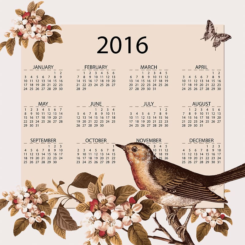 Birdcage European robin , Vintage Calendar transparent background PNG clipart