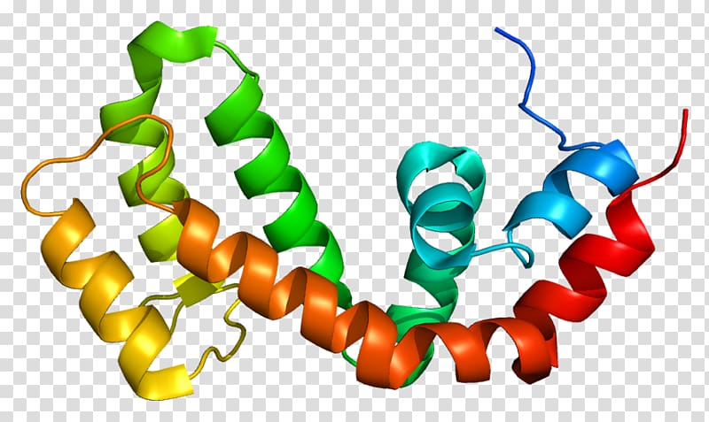 RGS9 Regulator of G protein signaling RGS4 Gene, others transparent background PNG clipart