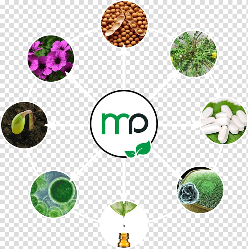 Micropep Technologies Application domain TWB Toulouse White Biotechnology Bioproduction, Pep transparent background PNG clipart