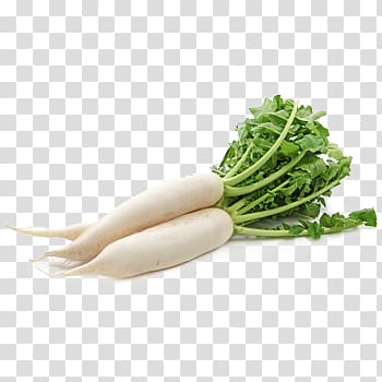 Daikon Root Vegetables Cải củ Carrot, vegetable transparent background PNG clipart