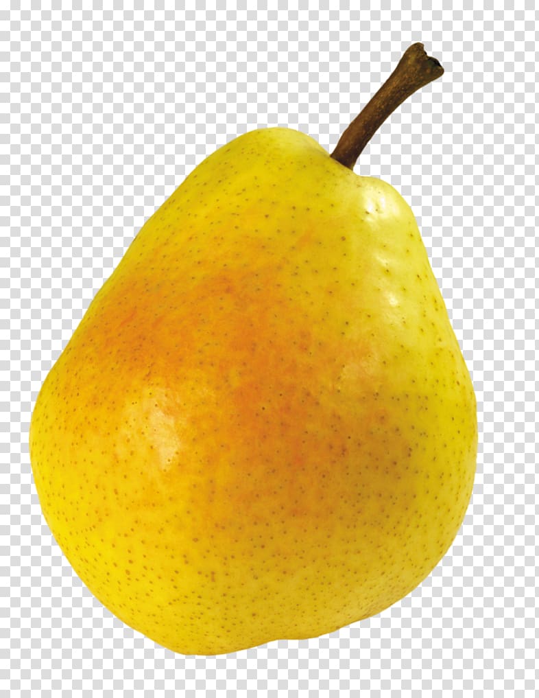 Pear , juicy transparent background PNG clipart