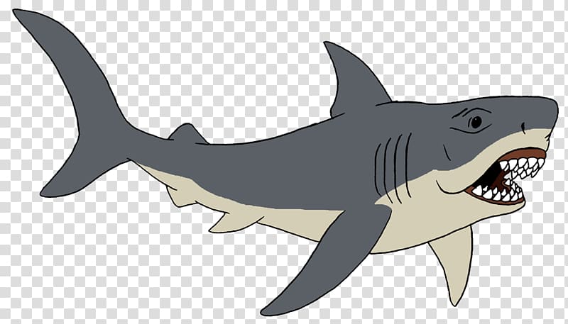 Tiger shark Requiem sharks, shark transparent background PNG clipart