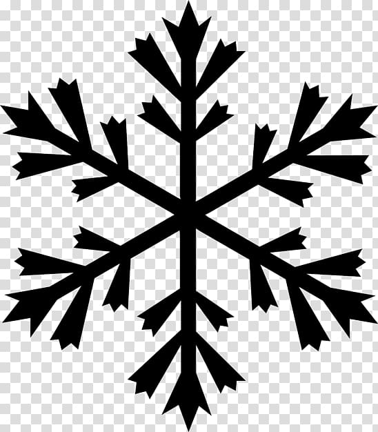 TATRA Ski Rent & School Drawing, Snowflake transparent background PNG clipart