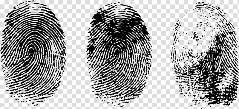 Fingerprint Thumb, finger print transparent background PNG clipart