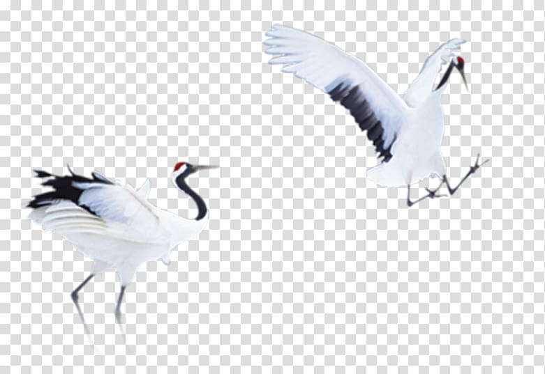 Crane Bird Cygnini, Creative antiquity crane transparent background PNG clipart