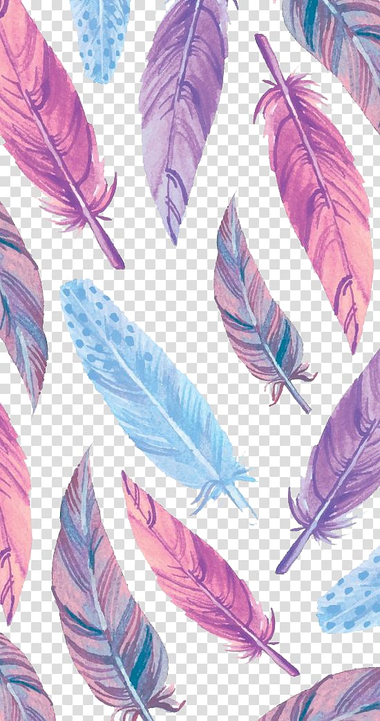 iPhone 6S Macintosh MacBook Pro , feather transparent background PNG clipart