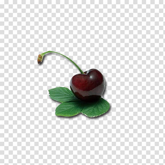 Cherry Berry Fruit Auglis, Cherry transparent background PNG clipart