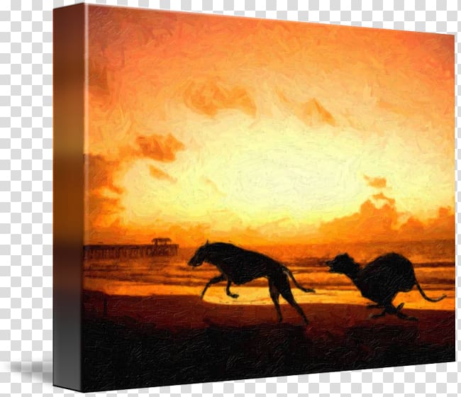 Greyhound Painting Canvas print Art, beach sunset transparent background PNG clipart