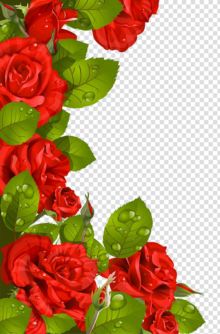 Valentines Day Rose Greeting Card