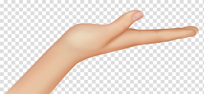 Thumb Nail Hand model Human leg, Hand , right human hand transparent background PNG clipart