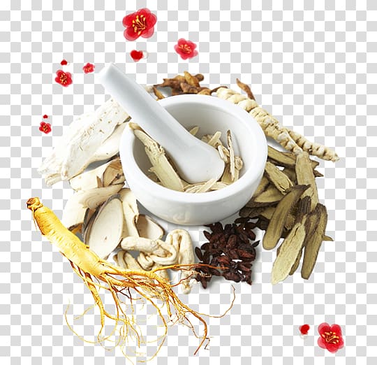 Chinese herbology Traditional Chinese medicine Medicinal plants, Chinese medicine herbs transparent background PNG clipart