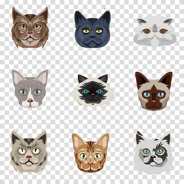 Cat Whiskers Avatar, Kitten Avatar transparent background PNG clipart