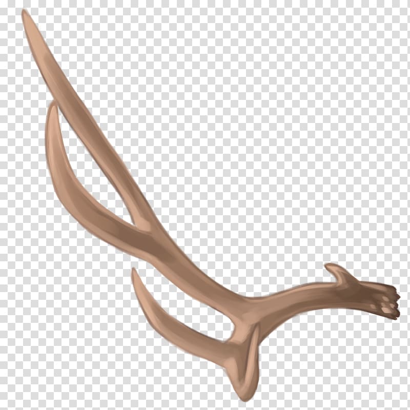 Deer Antler Material, deer transparent background PNG clipart