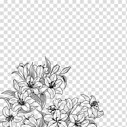 Drawing Black and white Flower Floral design, flower transparent background  PNG clipart | HiClipart