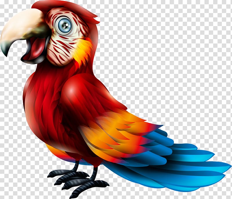 Macaw Parrot Bird Lories and lorikeets, red parrot transparent background PNG clipart