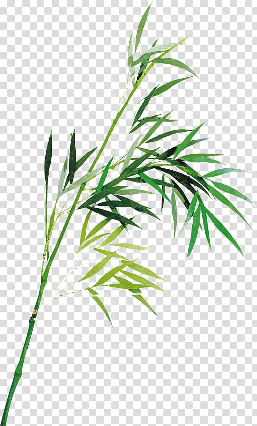 Bamboo Ink wash painting , Hand painted green bamboo leaves transparent background PNG clipart