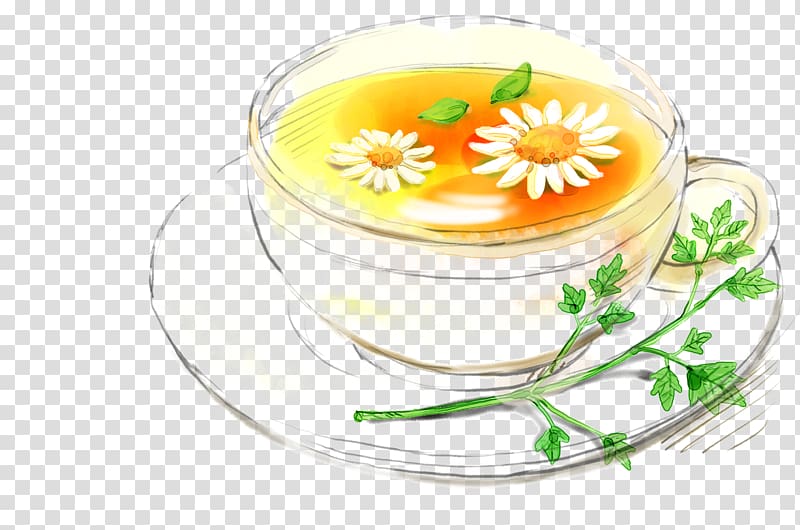 Flowering tea Chrysanthemum tea Hibiscus tea, scented tea transparent background PNG clipart