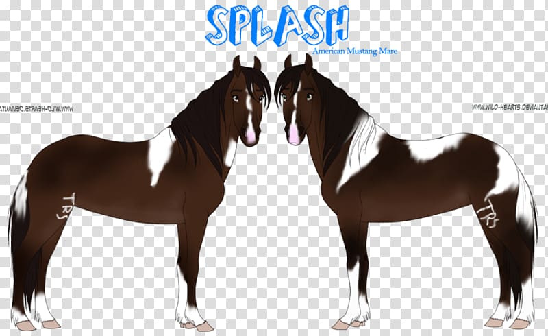 Mustang Mare Pony Feral Stallion, furry horse transparent background PNG clipart