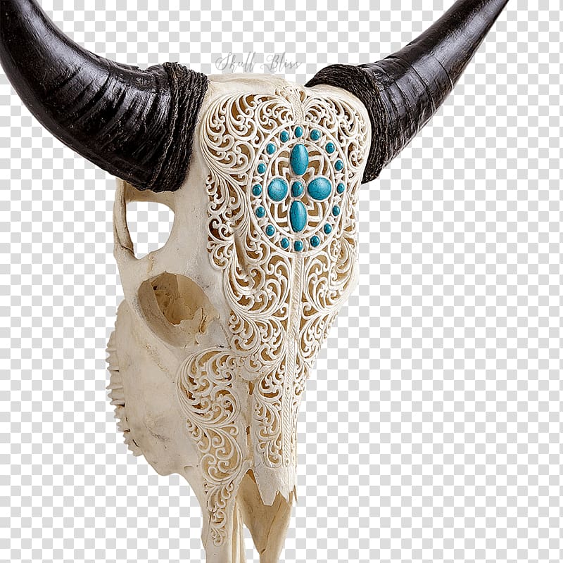 XL Horns Cattle Skull Neck, skull transparent background PNG clipart