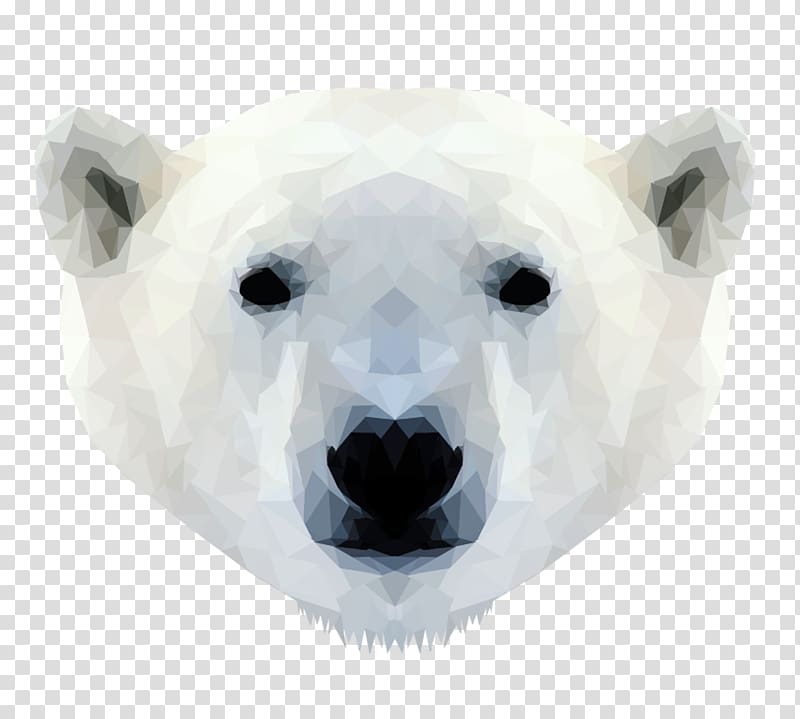Polar bear Walrus Cat Tiger, polar bear transparent background PNG clipart
