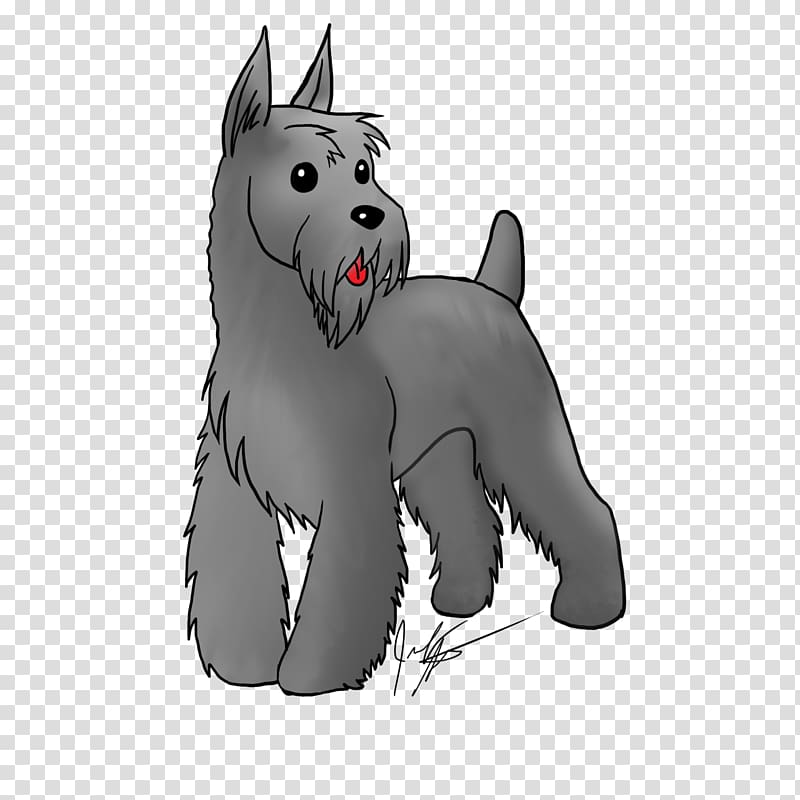 Miniature Schnauzer West Highland White Terrier Scottish Terrier Dog breed, puppy transparent background PNG clipart