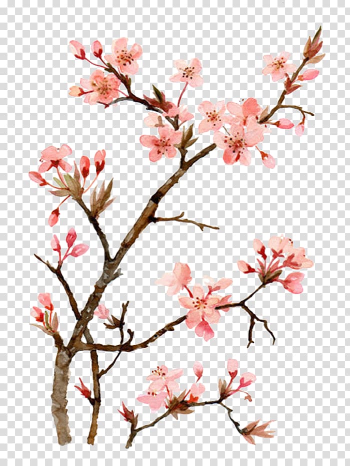 pink flowering tree, Cherry blossom Watercolor painting Drawing, Drawing Peach transparent background PNG clipart