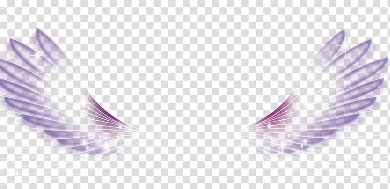 Wing White Feather, White Wings transparent background PNG clipart