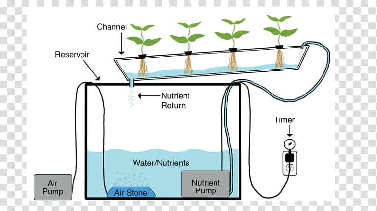 Nutrient film technique Hydroponics Deep water culture Aquaponics Agriculture, others transparent background PNG clipart